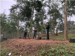 Sư đoàn 3 tổ chức thi sĩ quan pháo binh huấn luyện giỏi